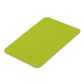 Vast gekleurd limoen, druivegroen magneet (Linkerzijde)