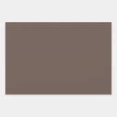 Vast kleurloos, effen, medium, pastelbruin inpakpapier vel (Voorkant)