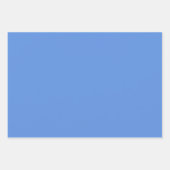 Vast lichtindigo blauw inpakpapier vel (Voorkant)