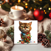 Vastberaden Grumpy Christmas Cat Feestdagenkaart