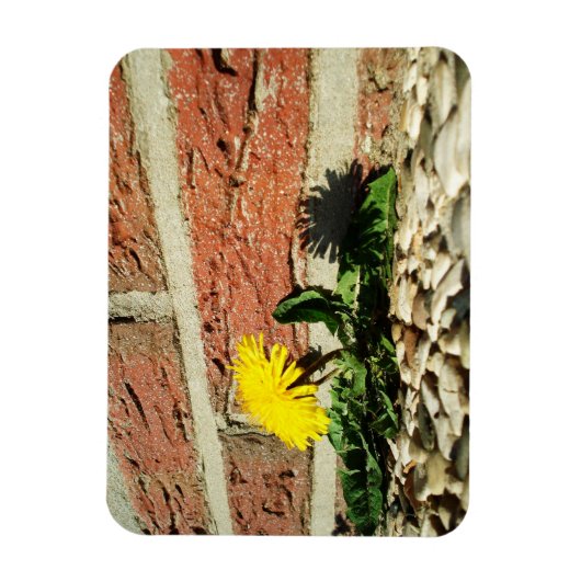 Vastberaden Paardenbloem Magneet (Verticaal)