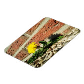 Vastberaden Paardenbloem Magneet (Linkerzijde)