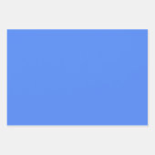 Vaste blauwbes kleur inpakpapier vel (Voorkant 2)