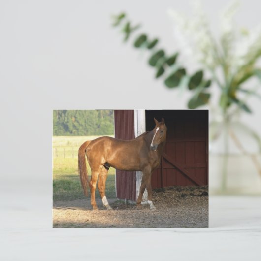 Vaste kastanje briefkaart (Staand voorkant)