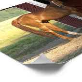 Vaste kastanje poster (Hoek)