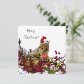 Vaste kersteekhoorn (Staand voorkant)