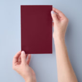 Vaste kleur in poedervorm flyer (Hand)