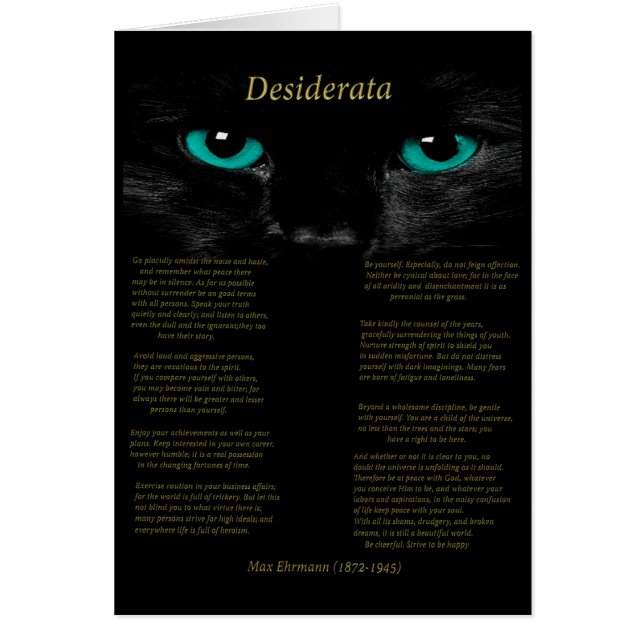 Vaste ogen (Voorkant)