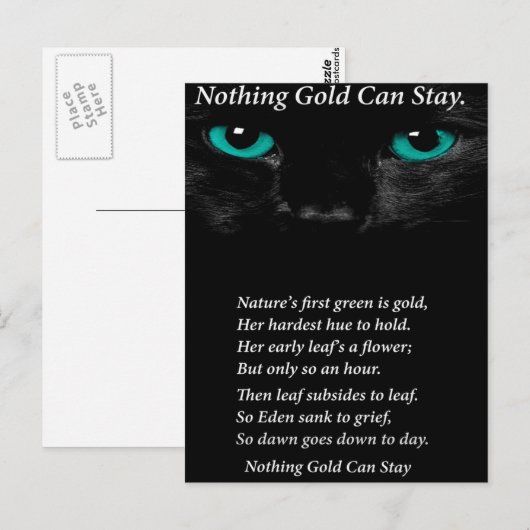 Vaste ogen briefkaart (Voorkant / Achterkant)