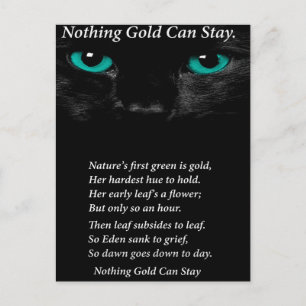 Vaste ogen briefkaart