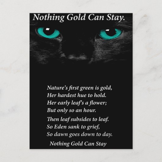 Vaste ogen briefkaart (Voorkant)