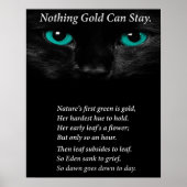 Vaste ogen poster (Voorkant)