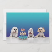 Vaste-partijuitnodigingskaart 5x7 Kaart (Voorkant)