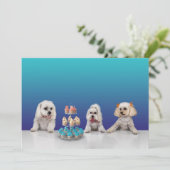  Vaste-partijuitnodigingskaart 5x7 Kaart (Staand voorkant)