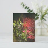 Vaste rode bloemen briefkaart (Staand voorkant)