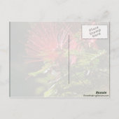 Vaste rode bloemen briefkaart (Achterkant)