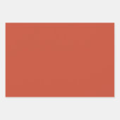 Vaste rode demper inpakpapier vel (Voorkant 2)