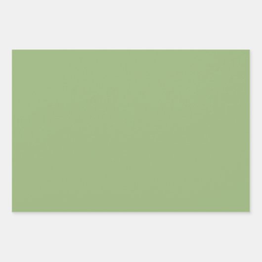 Vaste vlakke groenzijde inpakpapier vel (Voorkant 2)
