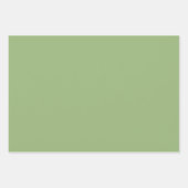 Vaste vlakke groenzijde inpakpapier vel (Voorkant)