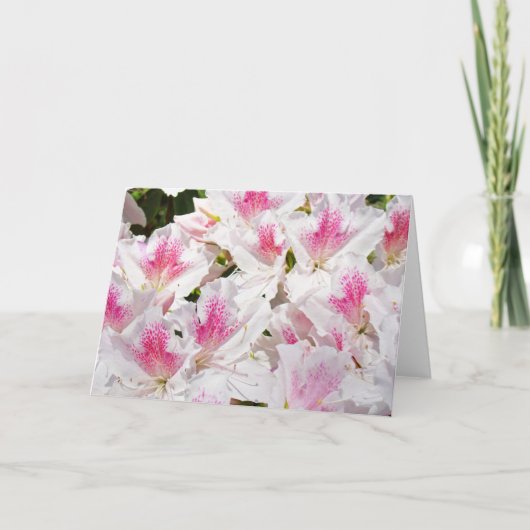 Vaste Wenskaarten binnen Tekst aanpassen Kaart (Voorkant)