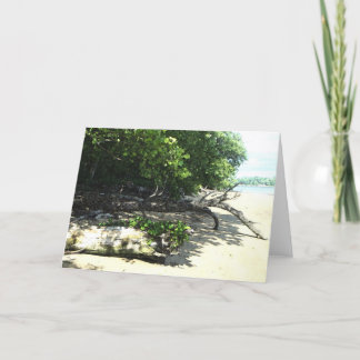 vastgelopen 8x10 2 kaart