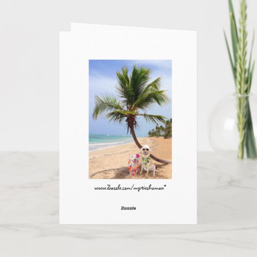 Vastgelopen op Verlaten Eiland Feestdagen Kaart (Achterkant)