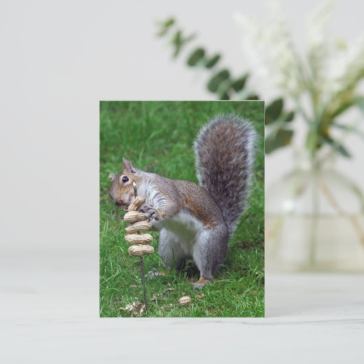Vastgestelde eekhoorn briefkaart (Staand voorkant)
