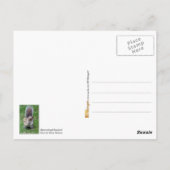 Vastgestelde eekhoorn briefkaart (Achterkant)