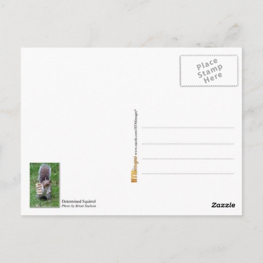 Vastgestelde eekhoorn briefkaart (Achterkant)