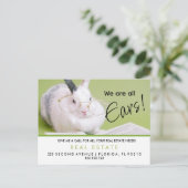 Vastgoed Pasen verwijzingen Aankondiging (Staand voorkant)