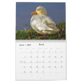 Vastige en grappige wilde dieren voor kinderen #2 kalender (Mar 2027)