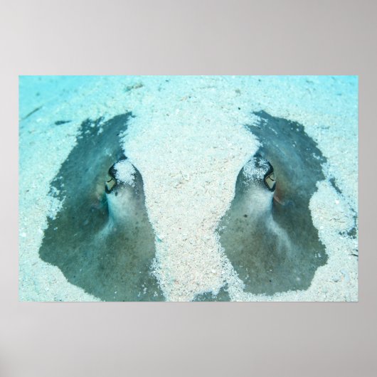 Vastleggen Poster sluiten (Voorkant)