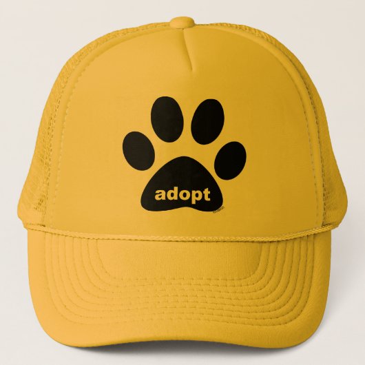 Vaststellen Trucker Pet (Voorkant)