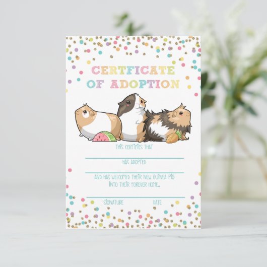 Vaststellen van een certificaat van goedkeuring vo (Staand voorkant)