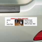VASTSTELLEN VAN EEN SHELTER PET, Say neuter Bumpersticker (Op auto)