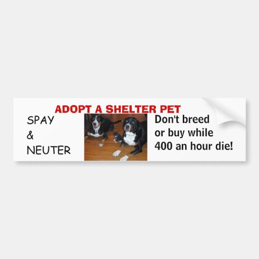 VASTSTELLEN VAN EEN SHELTER PET, Say neuter Bumpersticker (Voorkant)
