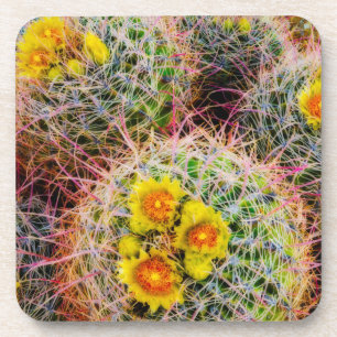 Vat cactus close-up, Californië Drankjes Onderzetter