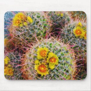 Vat cactus close-up, Californië Muismat