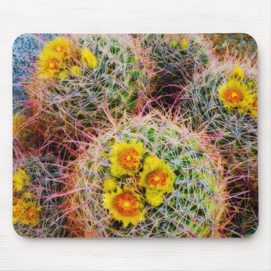 Vat cactus close-up, Californië Muismat (Voorkant)