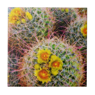 Vat cactus close-up, Californië Tegeltje
