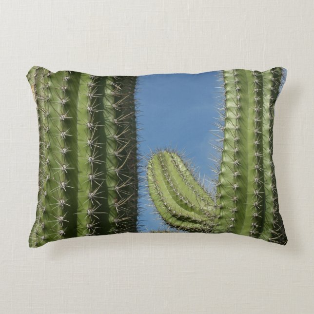 Vat Cactus I Woestijn Foto Accent Kussen (Voorkant)