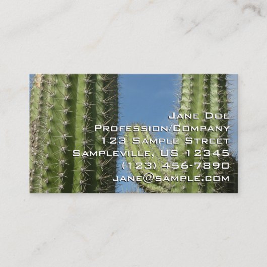 Vat Cactus I Woestijn Foto Visitekaartje (Voorkant)