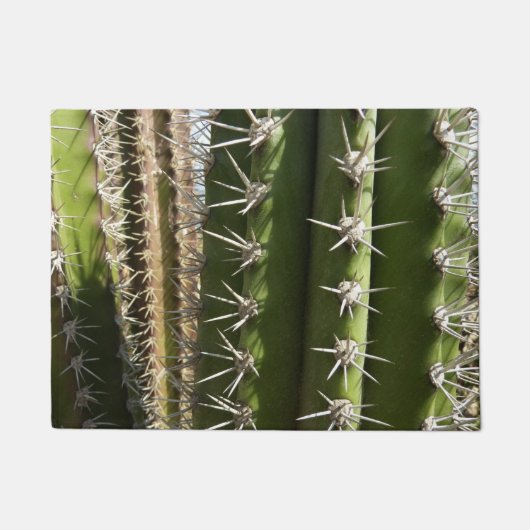 Vat Cactus II Woestijn Natuur Foto Deurmat (Voorkant)
