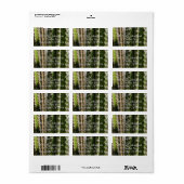 Vat Cactus II Woestijn Natuur Foto Etiket (Full Sheet)