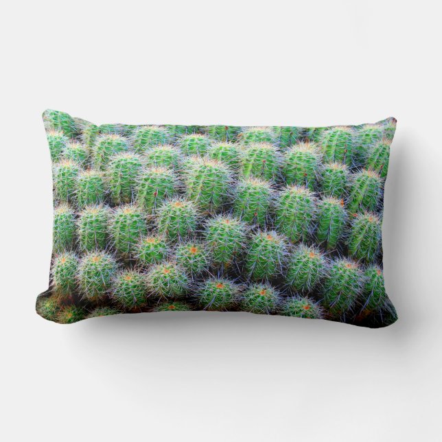 vatcactus groen kussen (Voorkant)