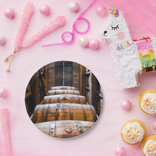 vaten papieren bordje (Feest)