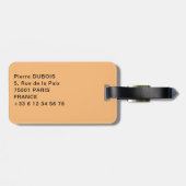 Vaticaan, Italië: Sint-Peter's uitzicht op het ple Bagagelabel (Achterkant horizontaal)