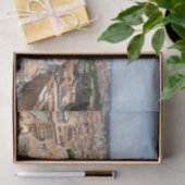 Vaticaan, Italië: Sint-Peter's uitzicht op het ple Tissuepapier (Geschenk)