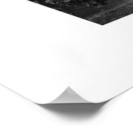 Vaticaan Rome Poster (Hoek)