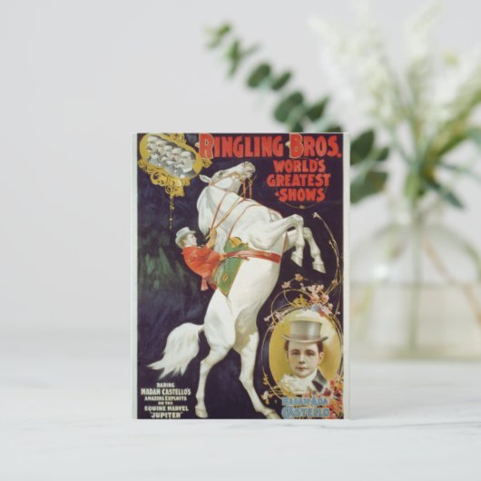 Vaudeville, Circus shows Briefkaart (Staand voorkant)